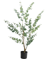 Kunstplanten Eucalyptus 150 cm er en høj kunstig eukalyptus i potte med lange, slanke grene og runde, sølvgrønne blade, mod en almindelig hvid baggrund.
