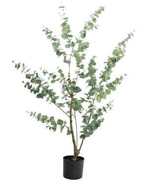 Kunstplanten Eucalyptus 150 cm er en høj kunstig eukalyptus i potte med lange, slanke grene og runde, sølvgrønne blade, mod en almindelig hvid baggrund.