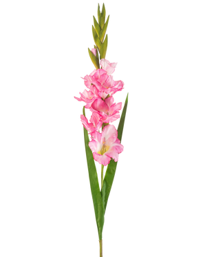En enkelt kunstig blomst Gladiolus 93 cm lys pink med flere lys pink blomster og knopper, parret med lange grønne blade, på en hvid baggrund.
