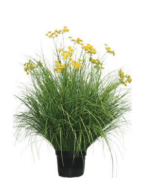 Kunstgræsplanten Asteraceae 100 cm brandhæmmende middel har lange, smalle blade og klaser af knaldgule blomster på høje stængler. Denne vedligeholdelsesfrie plante ser smuk ud i ethvert interiør på en hvid baggrund.