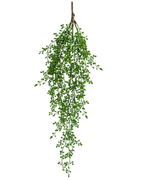 Den kunstige hængeplante Senecio 76 cm har en enkelt gren af kunstigt grønt med små, klyngeformede grønne blade, der hænger elegant nedad mod en almindelig hvid baggrund.