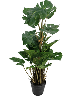 Den kunstige plante Monstera 90 cm er en kunstig plante med store, blanke grønne blade med naturlige spalter, opretstående i en sort potte mod en almindelig hvid baggrund.