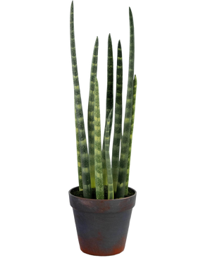 Den kunstige Sansevieria Cylindrica 43 cm er en slange i potte med høje, opretstående grønne blade og subtile vandrette striber, mod en almindelig hvid baggrund.