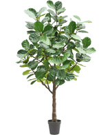 Artificial Tree Tobacco Plant 270 cm er et højt kunstigt træ med frodige, store grønne blade og en kraftig brun stamme, i en lille sort potte mod en almindelig hvid baggrund.