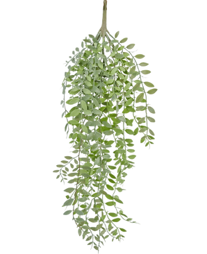 Den kunstige hængeplante Pumila/Eucalyptus 76 cm har grønne, smalle blade og slanke stængler, der falder ned mod en almindelig hvid baggrund.