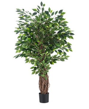 Den kunstige plante Ficus Tropical Liana 150 cm er et højt kunstigt træ med en flettet stamme og tætte grønne blade, vist i en lille sort potte mod en almindelig hvid baggrund.