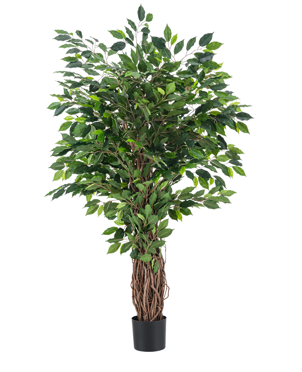 Den kunstige plante Ficus Tropical Liana 150 cm er et højt kunstigt træ med en flettet stamme og tætte grønne blade, vist i en lille sort potte mod en almindelig hvid baggrund.