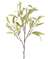 Den kunstige gren Eucalyptus Niphophila 108 cm grøn har en enkelt brun stamme med flere tynde grene, hver dekoreret med aflange, lysegrønne blade, mod en almindelig hvid baggrund.