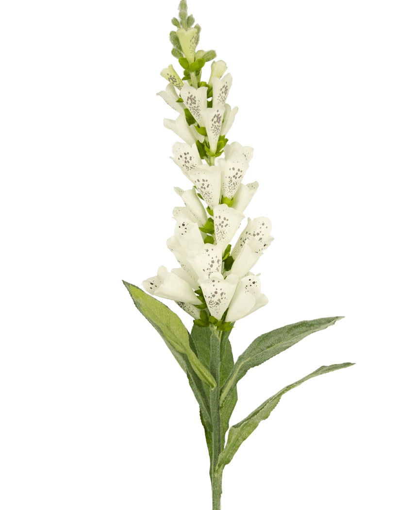 Artificial Flower Foxglove 90 cm hvid har grønne blade og hvide, plettede rørformede blomster - ideel til luksuriøs dekoration eller som en slående accent i en kunstig blomsterbuket.