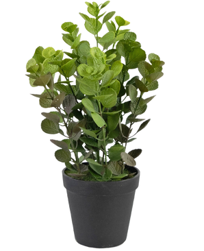 Den kunstige plante Vicks 33 cm er en grønbladet kunstig plante med runde blade i en simpel sort potte, mod en almindelig hvid baggrund.