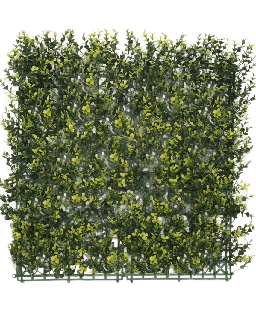 Artificial Hedge Boxwood Yellow 50x50 cm UV er et firkantet panel af tæt kunstigt grønt løv med gule blade, designet til at ligne en hæk eller havevæg, mod en almindelig hvid baggrund.