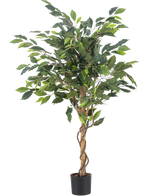 Den kunstige plante Ficus Green 120 cm har grønne blade og en snoet stilk, i en lille sort potte mod en almindelig hvid baggrund.