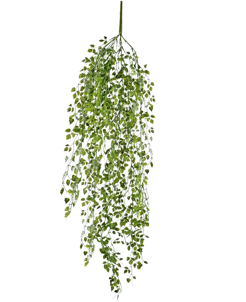 Den kunstige hængeplante mini efeu 91 cm har grønne blade på tynde stængler mod en almindelig hvid baggrund.