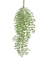 Den kunstige hængeplante Pumila/Eucalyptus 76 cm har grønne, smalle blade og slanke stængler, der falder ned mod en almindelig hvid baggrund.