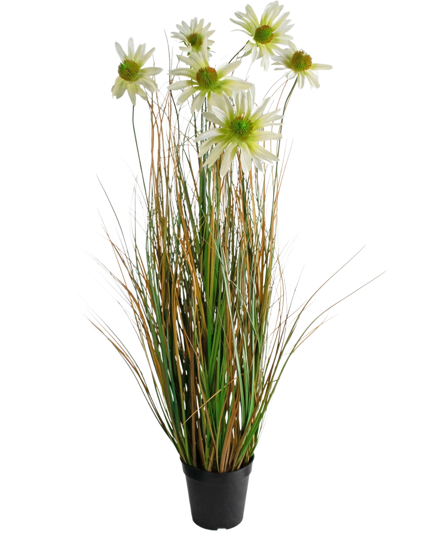 Kunstgræs Chrysanthemum Onion Pot 90cm brandhæmmende er en kunstig plante i en potte med lange grønne og brune græslignende blade, toppet med hvide tusindfryd blomster med et gult hjerte.