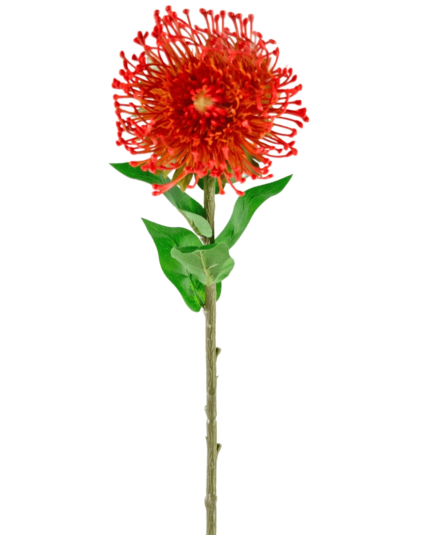 Artificial Flower Protea 73 cm rød har livlige røde kronblade, grønne blade og en lang slank stilk, hvilket gør den til en slående kunstig blomst, der tilføjer varig skønhed til ethvert rum.