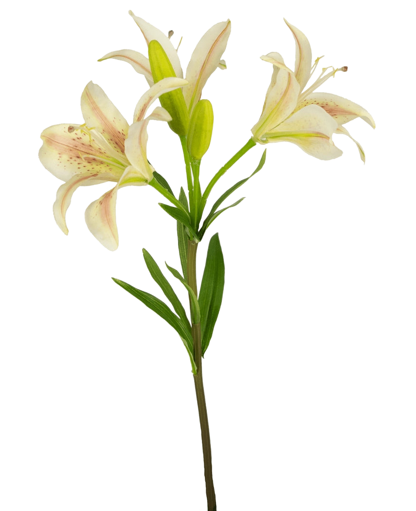 En enkelt kunstig blomst asiatisk lilje 66 cm pink med tre blomstrende pink liljer og grønne blade, isoleret på en hvid baggrund.