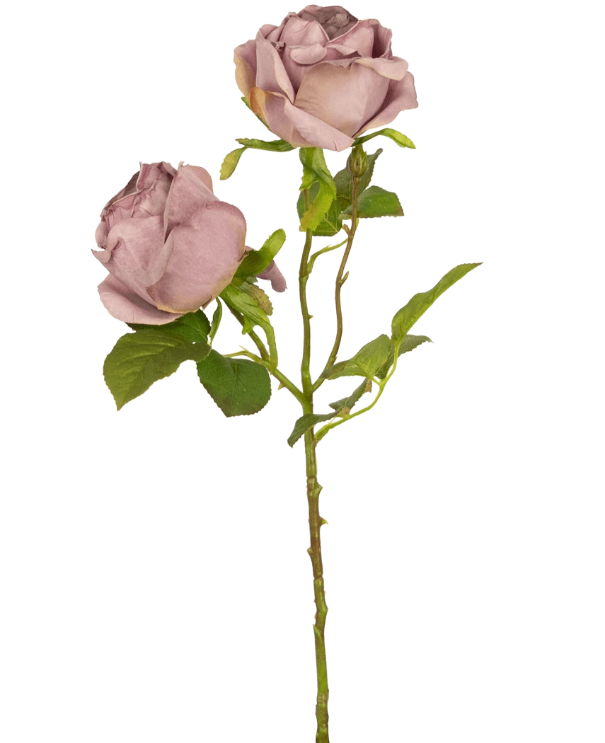 En enkelt Artificial Rose Deluxe 55 cm lilla stilk med to støvede lilla roser og grønne blade, mod en almindelig hvid baggrund.