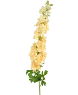 En enkelt Artificial Flower Delphinium 105 cm creme med flere lysegule blomster og grønne blade, mod en almindelig hvid baggrund.
