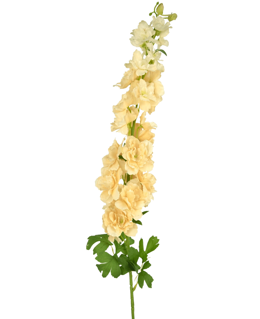 En enkelt Artificial Flower Delphinium 105 cm creme med flere lysegule blomster og grønne blade, mod en almindelig hvid baggrund.