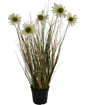 Kunstgræs Chrysanthemum Onion Pot 60 cm brandhæmmende middel har lange, tynde grønne og brune blade med flere høje stængler toppet med hvide tusindfrydlignende blomster med et gult hjerte.