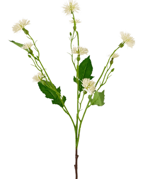 Artificial Flower Daisy Spray 54 cm hvid stråle har en enkelt grøn stilk med forgrenede klaser af små, hvide tusindfrydlignende blomster og uregelmæssige grønne blade, mod en almindelig hvid baggrund.