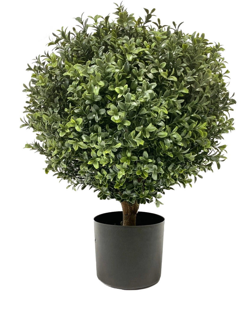 Den kunstige buksbom på stilk UV 40 cm er en rund, busket grøn form med tætte blade i en simpel sort potte, mod en almindelig hvid baggrund.