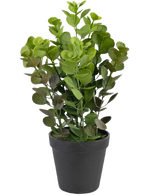 Den kunstige plante Vicks 33 cm er en grønbladet kunstig plante med runde blade i en simpel sort potte, mod en almindelig hvid baggrund.