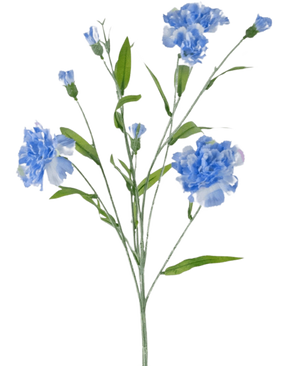 Den kunstige blomsternelliker 70 cm blå har en sart stilk med flere lyseblå nellikeblomster og grønne blade, mod en almindelig hvid baggrund.