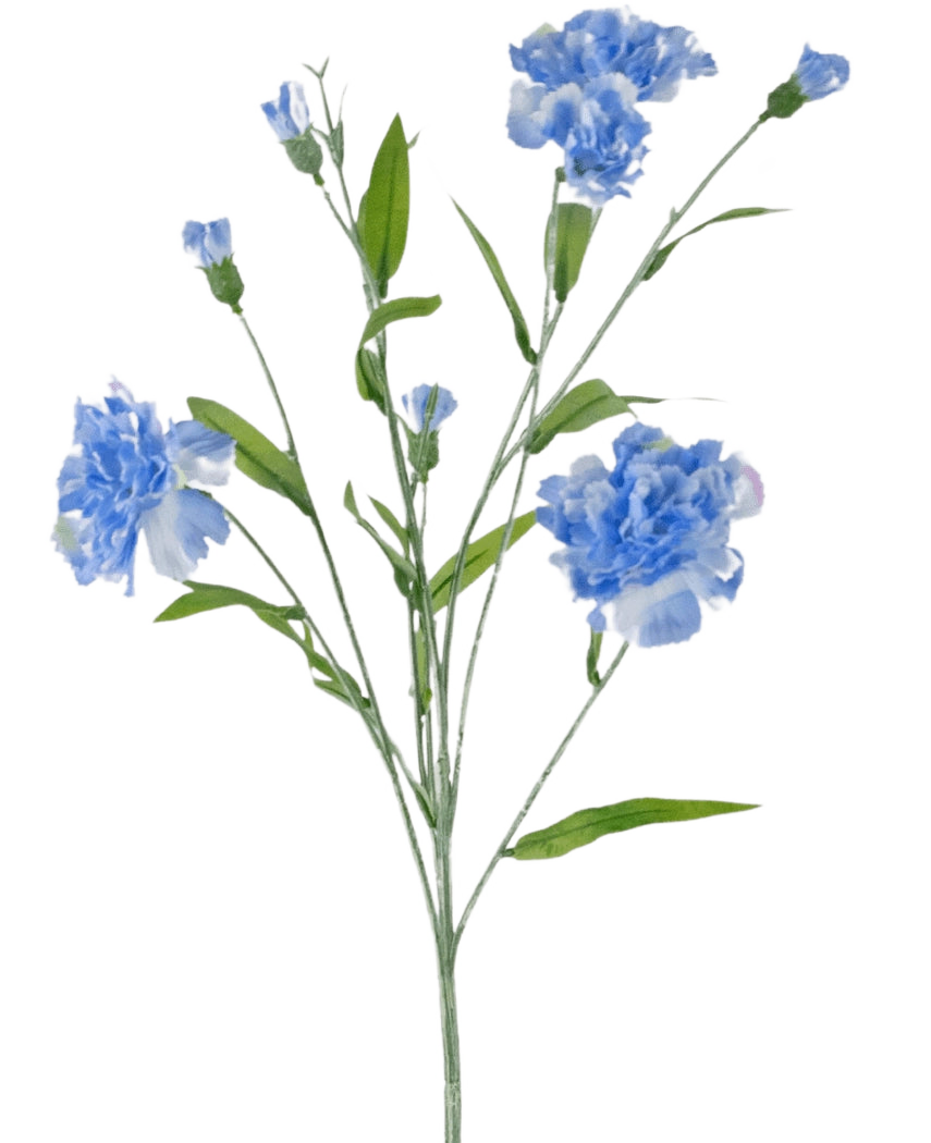 Den kunstige blomst Nellikebundt 70 cm blå har en sart stilk med flere lyseblå nellikeblomster og grønne blade, mod en almindelig hvid baggrund.