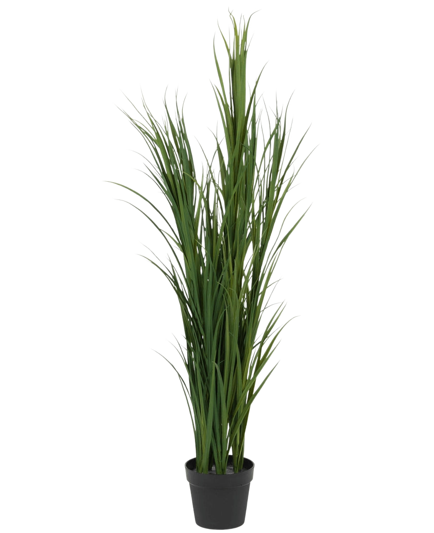 Artificial Grass Green UV 150cm er en høj kunstgræsplante med lange, slanke grønne blade i en lille sort potte, afbildet mod en almindelig hvid baggrund.