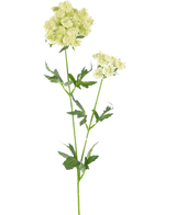 Artificial Flower Lace Flower 76 cm hvid er en enkelt kunstig stilk med bundter af små, lysegrøn-hvide blomster og takkede, dybt fligede grønne blade, mod en almindelig hvid baggrund.