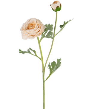 Artificial Ranunculus Real Touch Crème 60 cm har en enkelt ferskenfarvet ranunculus-stængel med lagdelte kronblade, en mindre lukket knop og grønne fligede blade, alt smukt detaljeret og isoleret på en hvid baggrund.