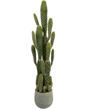 Artificial Cactus 100 cm har høje, grønne, opretstående arme med kamme, i en rund grå potte mod en almindelig hvid baggrund.