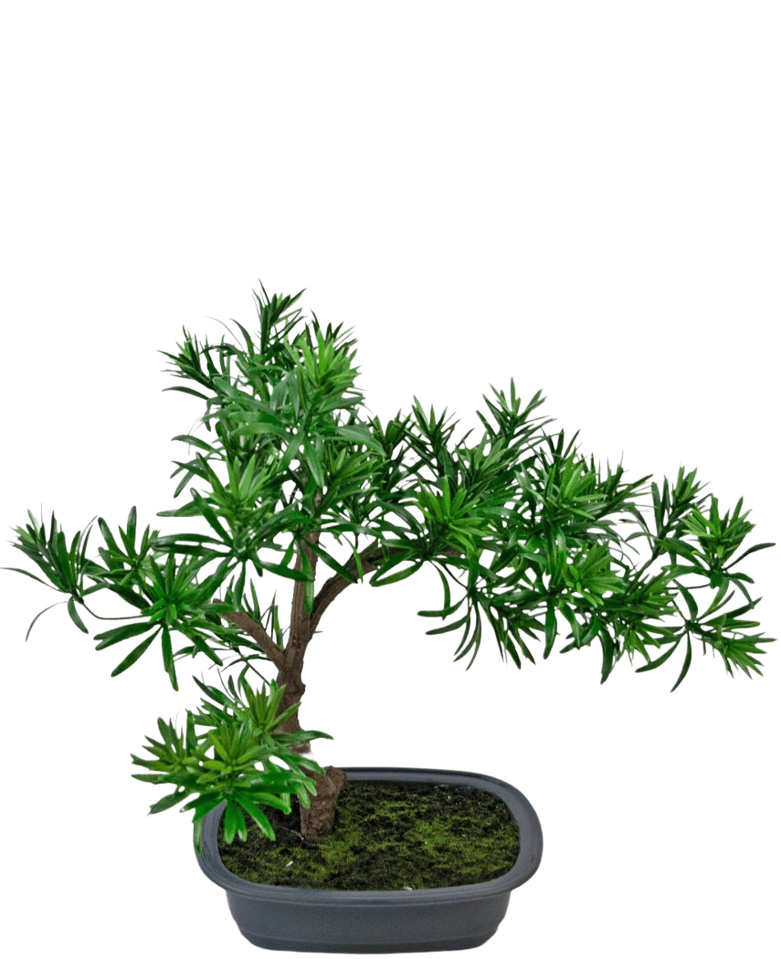 Den kunstige plante Bonsai Podocarpus 40 cm har tæt grønt løv i en lavvandet rektangulær grå potte med mos, perfekt til at tilføje en naturlig stil til ethvert rum.