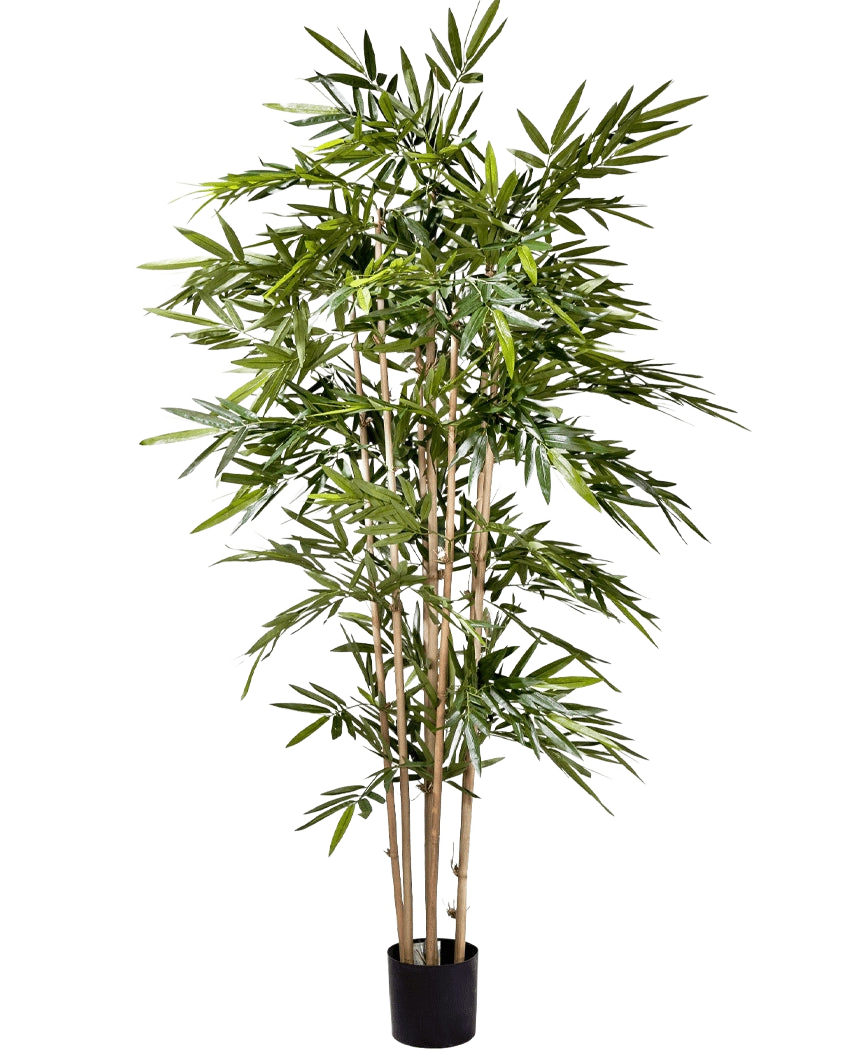 Artificial Plant Bamboo 180 cm har slanke lysebrune stængler og rigelige lange grønne blade i en lille sort potte, mod en almindelig hvid baggrund.
