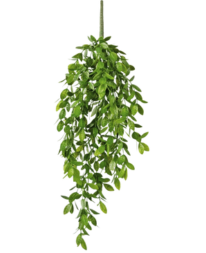 Den kunstige hængeplante Gardenia 61 cm er en kunstig hængeplante med frodige, grønne blade og en enkelt synlig stilk, mod en almindelig hvid baggrund.