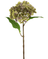 Artificial Hydrangea Deluxe 55 cm grøn/lilla har en enkelt kunstig hortensia-stængel med grønne og lilla kronblade og to grønne blade på en almindelig hvid baggrund.