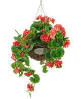 Artificial Begonia Pink in Basket UV 70cm er en hængende flettet kurv med frodige grønne blade og livlige koralpink begonia blomster, ophængt i en sølvkæde mod en hvid baggrund.