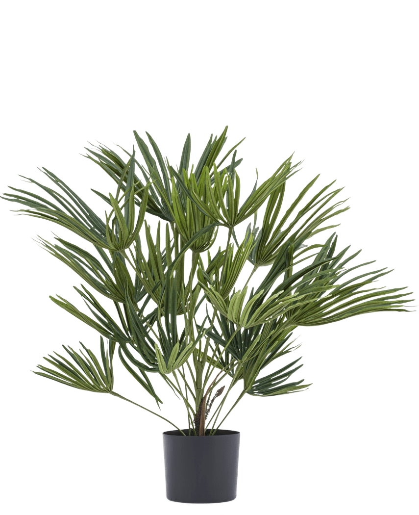 Artificial Plant Baby Palm Fan i potte UV 50 cm har lange, slanke grønne blade i en stilfuld potte - ideel til at tilføje et elegant touch til dit interiør eller til at kombinere med dekorative potter for ekstra flair.