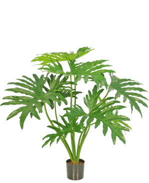 Den kunstige plante Philodendron 80 cm er en kunstig plante med store, delte grønne blade i en lille sort potte, afbildet mod en almindelig hvid baggrund.