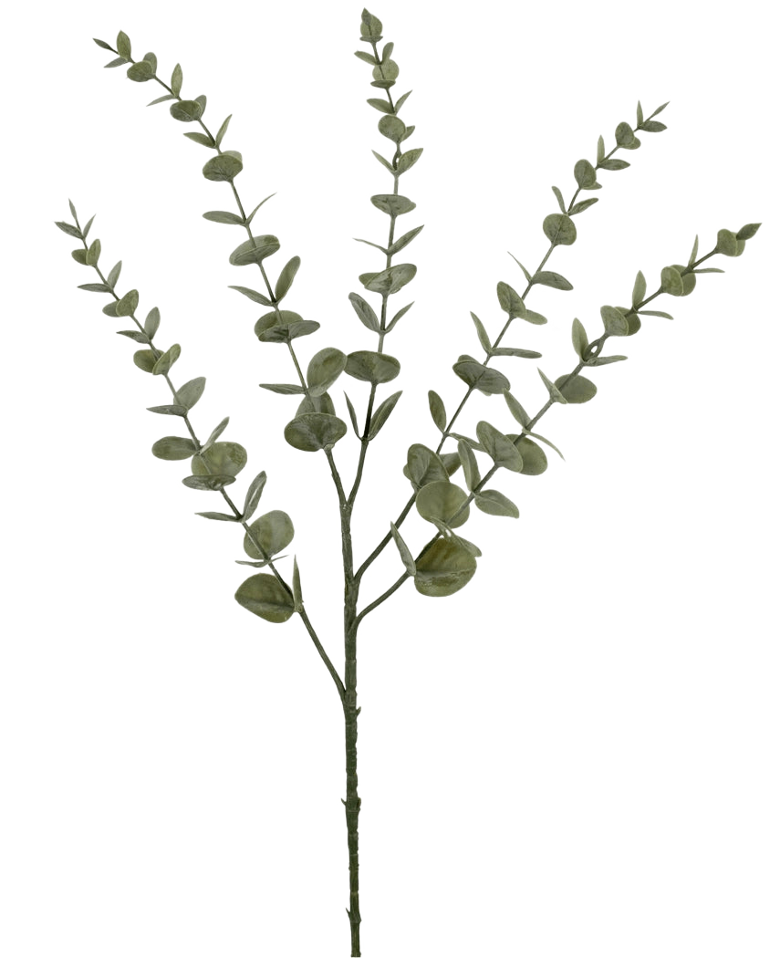 Den kunstige blomst Eucalyptus Yugali 71 cm er en enkelt kunstig stilk med fem forgrenede grene og små, runde grønne blade, afbildet isoleret på en hvid baggrund.