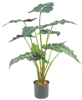 Den kunstige plante Alocasia UV 67 cm er en kunstig potteplante med store, mørkegrønne, pilformede blade og slående hvide årer, afbildet på en almindelig hvid baggrund.