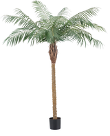 Den kunstige plante Phoenix Palm De Luxe 180 cm har fjerlysegrønne blade og en struktureret brun stamme i en lille sort potte og bringer en tropisk atmosfære til ethvert rum.