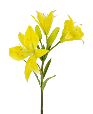 Den asiatiske kunstige blomsterlilje 66 cm gul har en stilk med flere blomstrende gule liljer og uåbnede knopper, spidse kronblade med mørke pletter i midten og grønne blade, alt sammen mod en hvid baggrund.