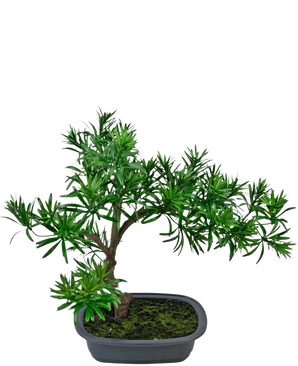 Den kunstige plante Bonsai Podocarpus 40 cm har tæt grønt løv i en lavvandet rektangulær grå potte med mos, perfekt til at tilføje en naturlig stil til ethvert rum.