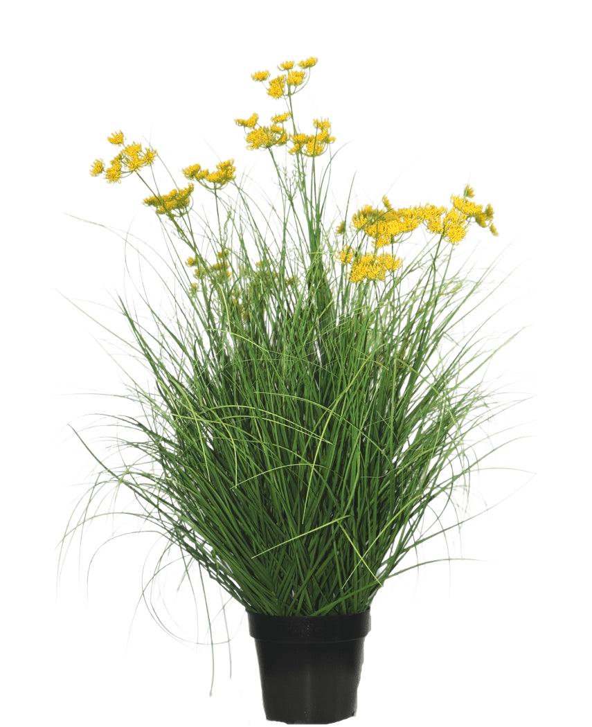 Kunstgræsplanten Asteraceae 90 cm brandhæmmende har lange, slanke græslignende blade og klaser af små, knaldgule blomster på lange stængler, mod en almindelig hvid baggrund.