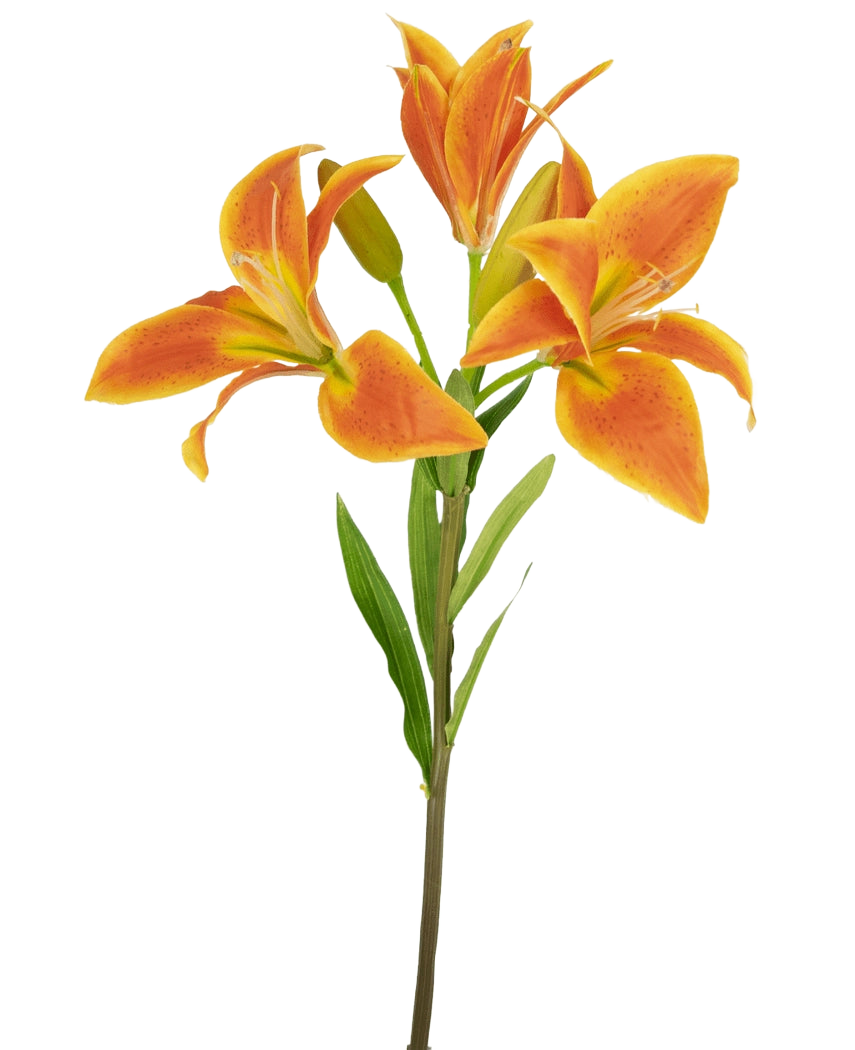 Den kunstige blomst asiatisk lilje 66 cm orange har en enkelt stilk med tre åbne orange liljer, en uåbnet knop og grønne blade mod en lys baggrund.