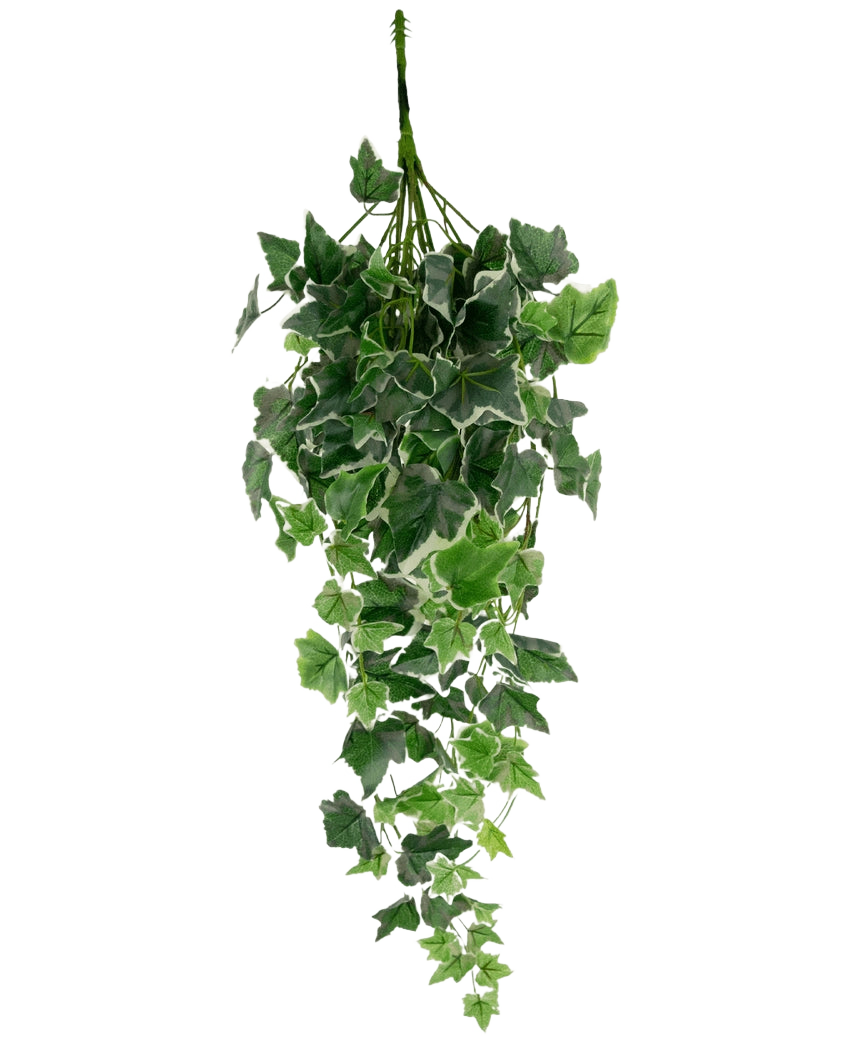 Artificial Ivy 70 cm grøn/hvid har kunstige efeublade i grønt med hvide kanter, arrangeret i en kaskadeform og vist mod en almindelig hvid baggrund.
