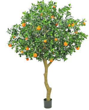 Det kunstige appelsintræ 275 cm har en slank stamme, tætte grønne blade og levende orange frugter, hvilket skaber et realistisk og dekorativt appelsintræ i en potte mod en almindelig hvid baggrund.